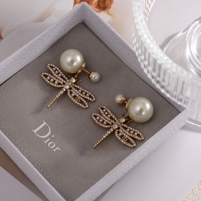 Dior Earrings CE14375