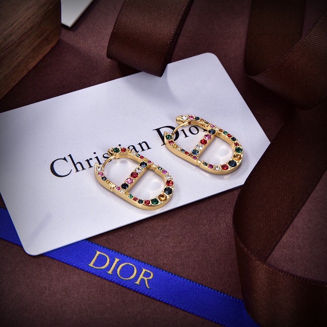 Dior Earrings CE14377