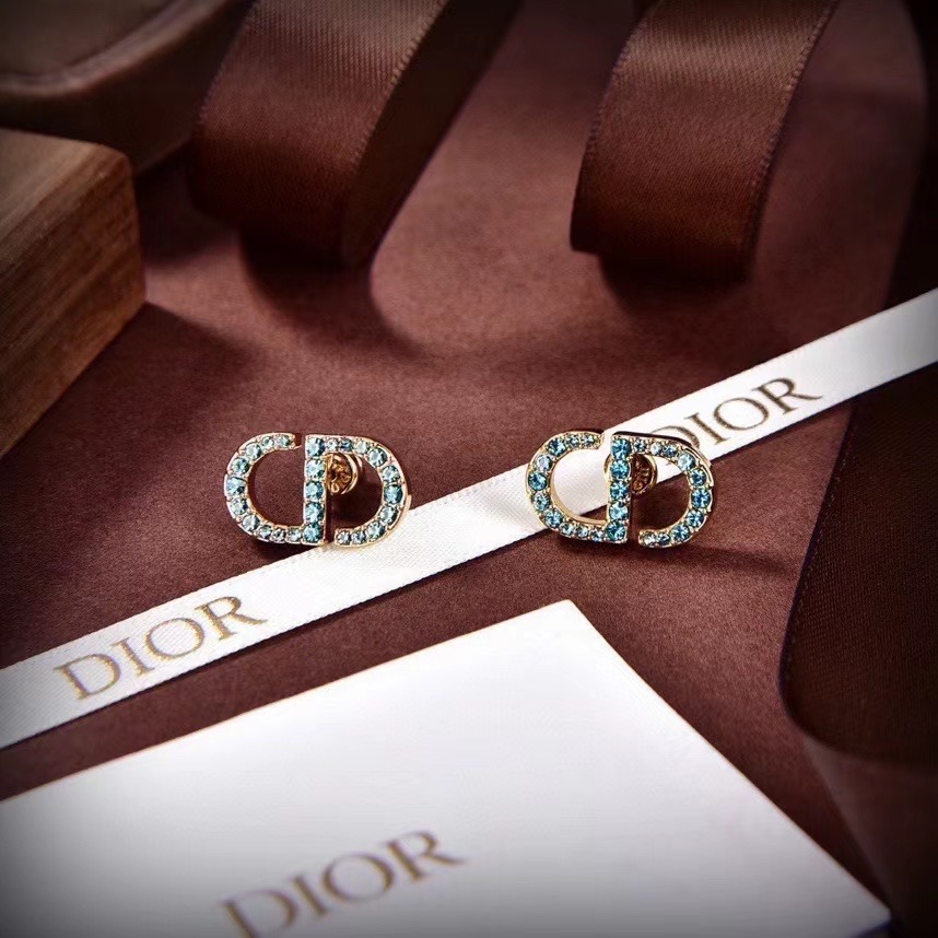 Dior Earrings CE14416