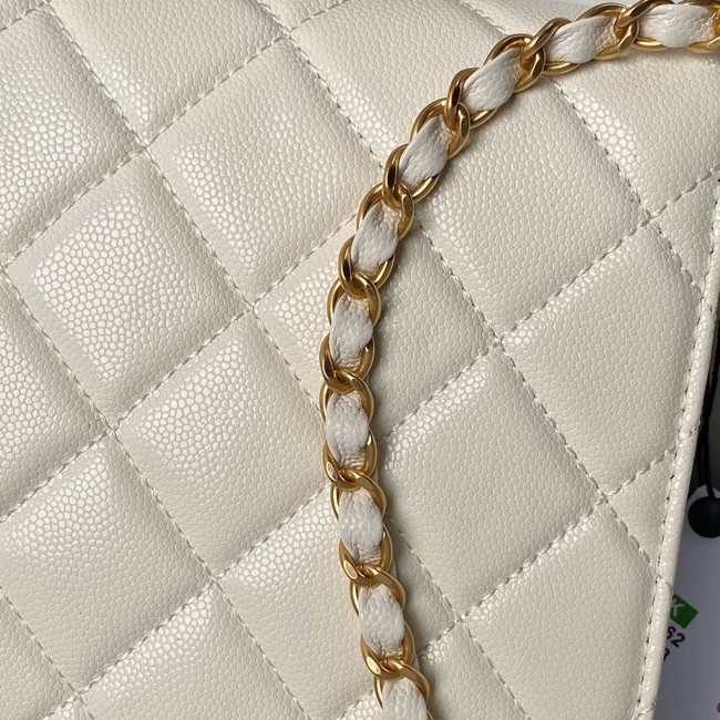 Chanel SMALL FLAP BAG WITH TOP HANDLE AS6262 WHITE