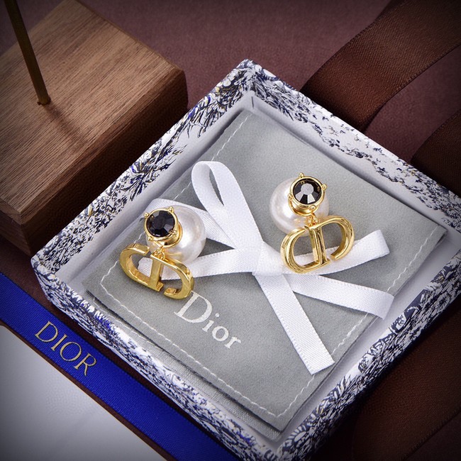 Dior Earrings CE14557