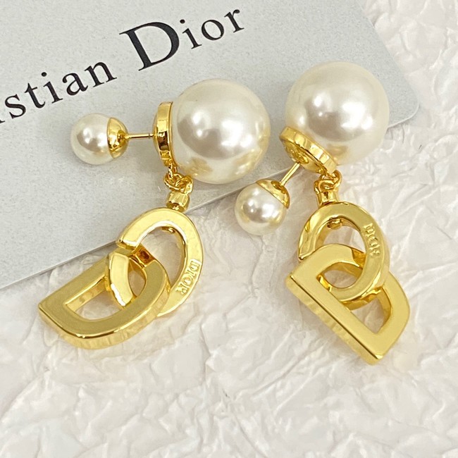 Dior Earrings CE14628