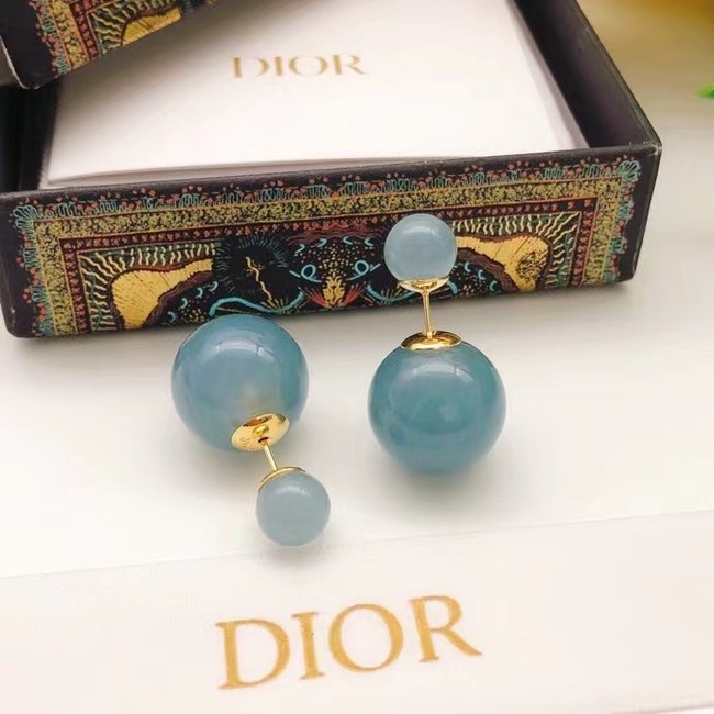 Dior Earrings CE14671