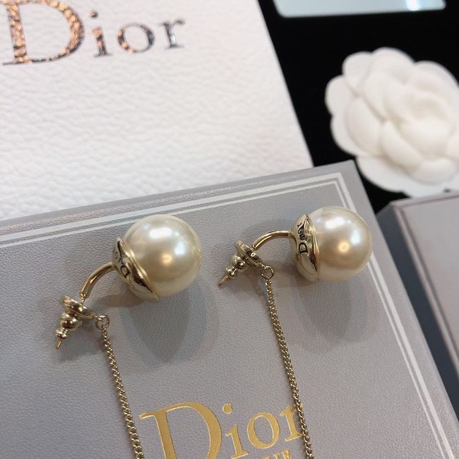 Dior Earrings CE14685