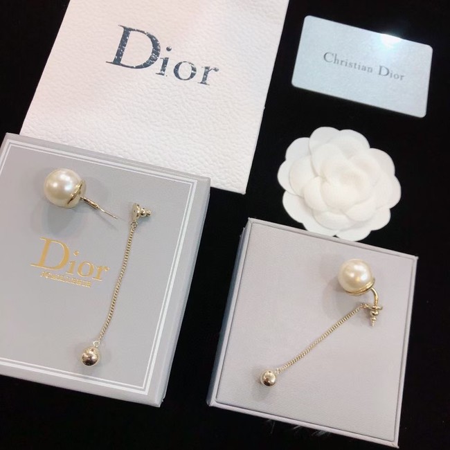 Dior Earrings CE14685