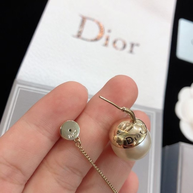 Dior Earrings CE14685