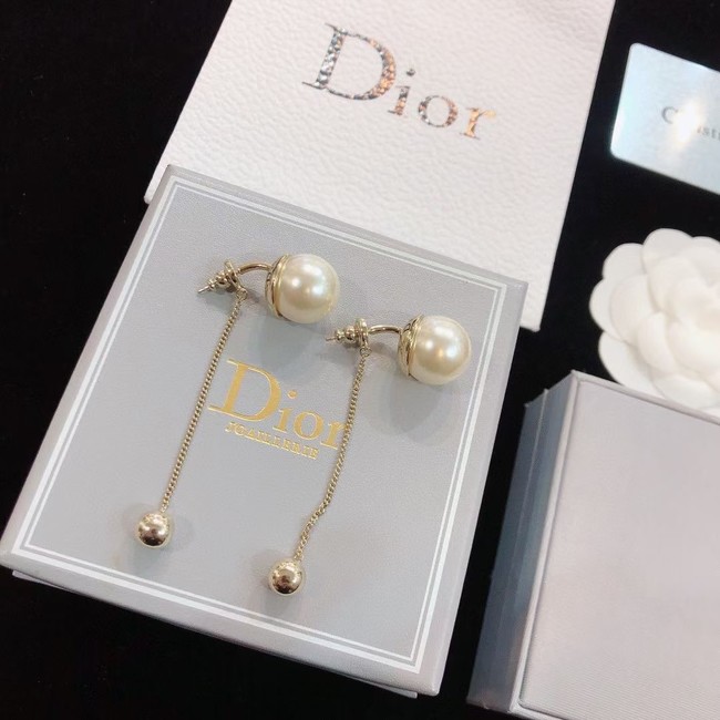 Dior Earrings CE14685