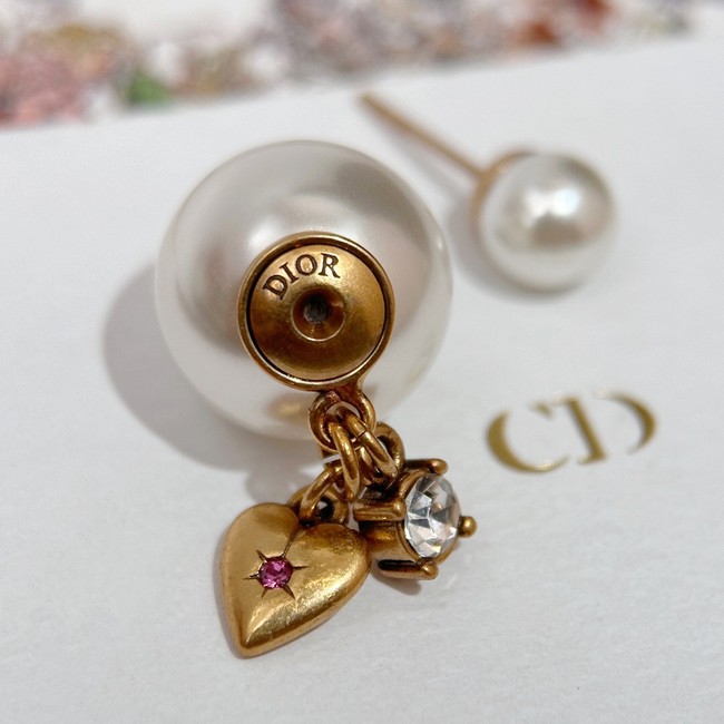 Dior Earrings CE14707