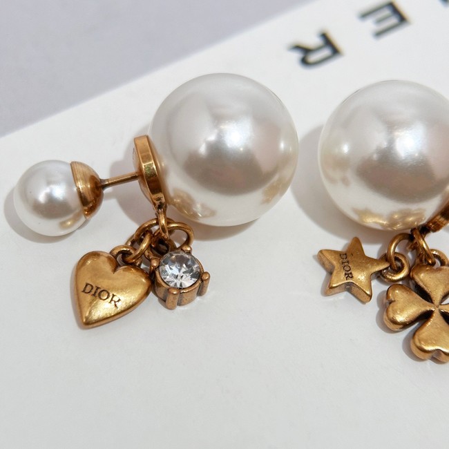 Dior Earrings CE14707