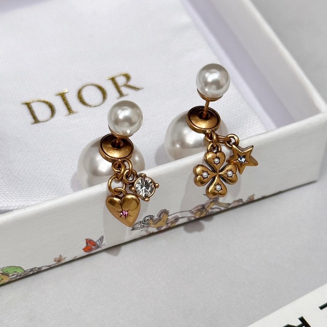 Dior Earrings CE14707