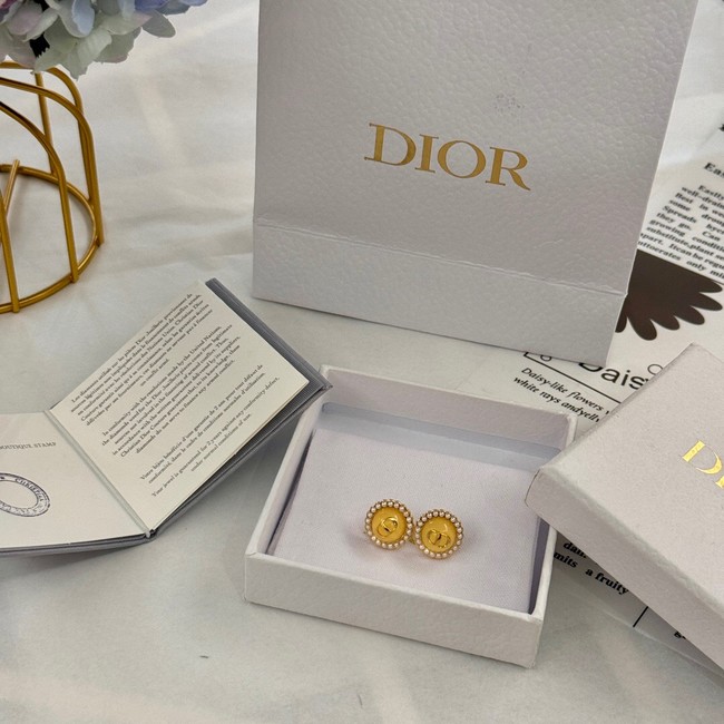 Dior Earrings CE14715