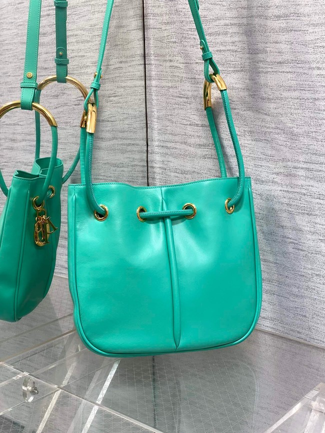 Dioriviera Medium Dior Nolita Bag Calfskin M2312UBGQ green