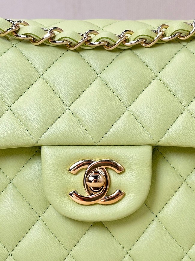 Chanel CLASSIC HANDBAG Lambskin & Gold-Tone Metal A01113 light green