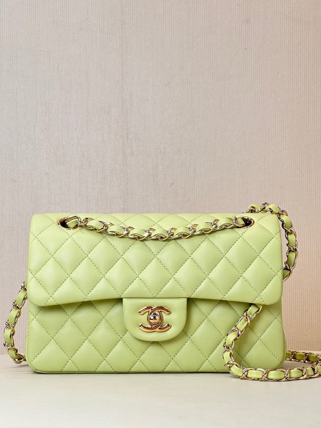 Chanel CLASSIC HANDBAG Lambskin & Gold-Tone Metal A01113 light green