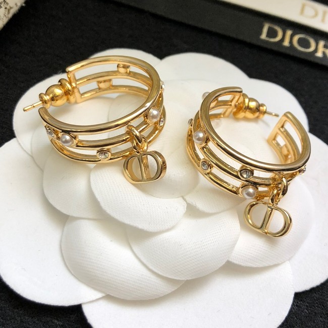 Dior Earrings CE14872