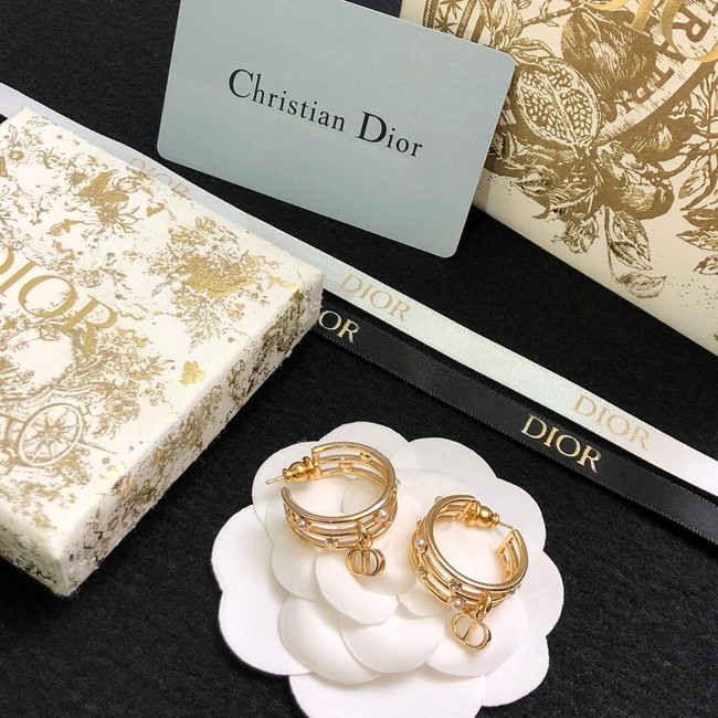 Dior Earrings CE14872