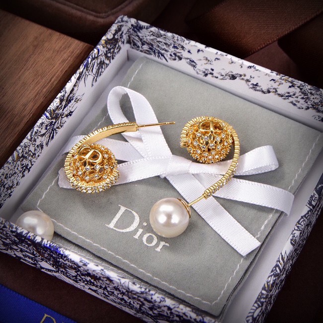 Dior Earrings CE14905