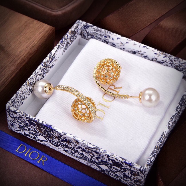 Dior Earrings CE14905