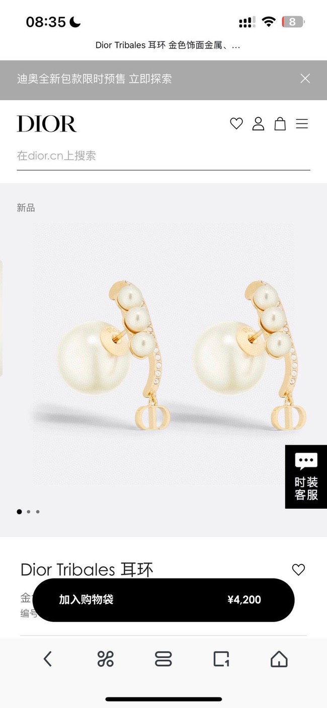 Dior Earrings CE14910