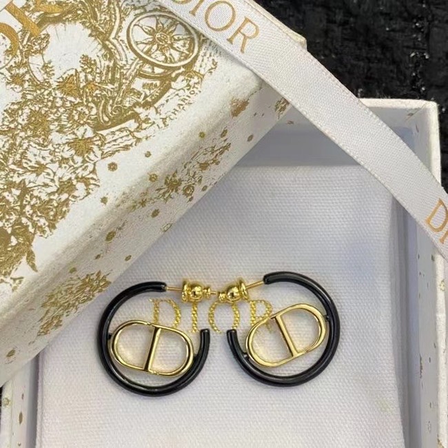 Dior Earrings CE14954