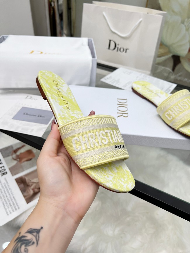 Dior Dway Slide Embroidered Cotton 11281-12