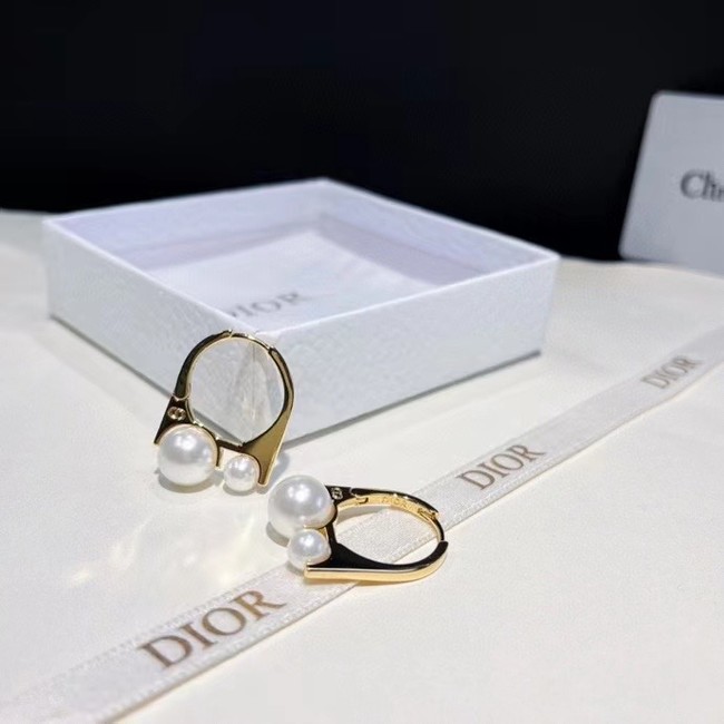 Dior Earrings CE14988