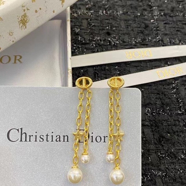 Dior Earrings CE15007