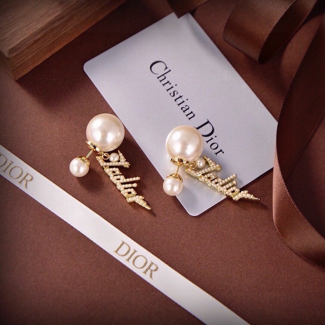 Dior Earrings CE15043