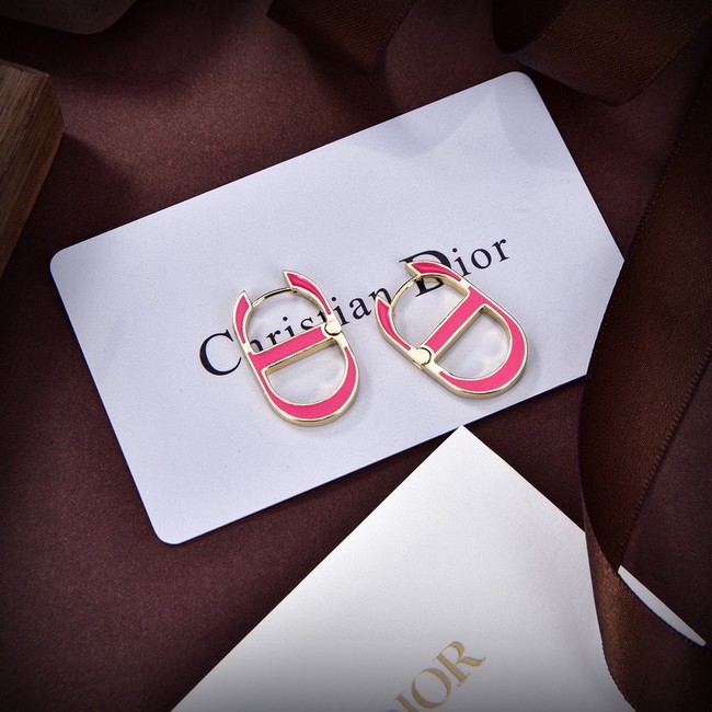 Dior Earrings CE15047