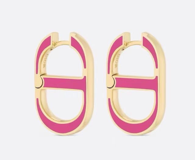 Dior Earrings CE15047