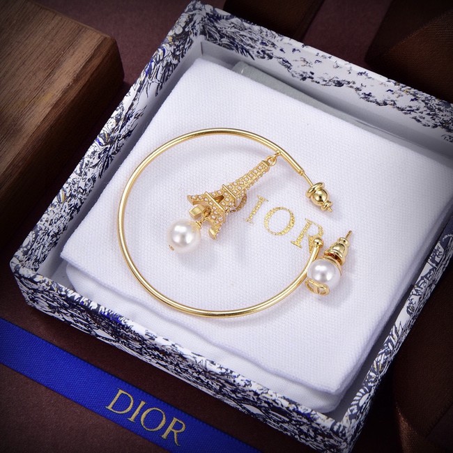 Dior Earrings CE15053