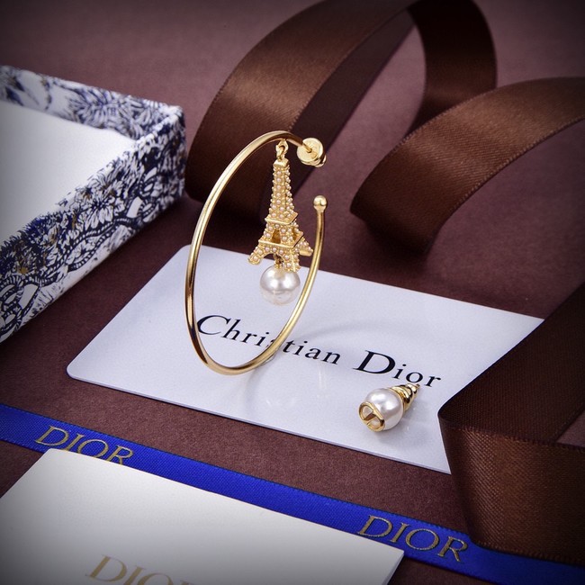 Dior Earrings CE15053