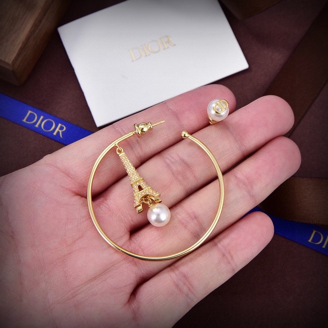 Dior Earrings CE15053