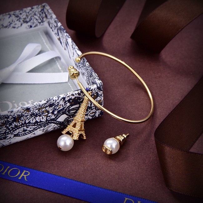 Dior Earrings CE15053