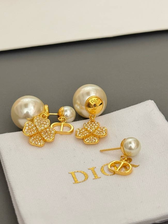 Dior Earrings CE15066