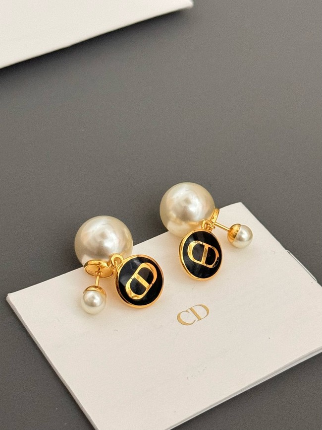 Dior Earrings CE15068