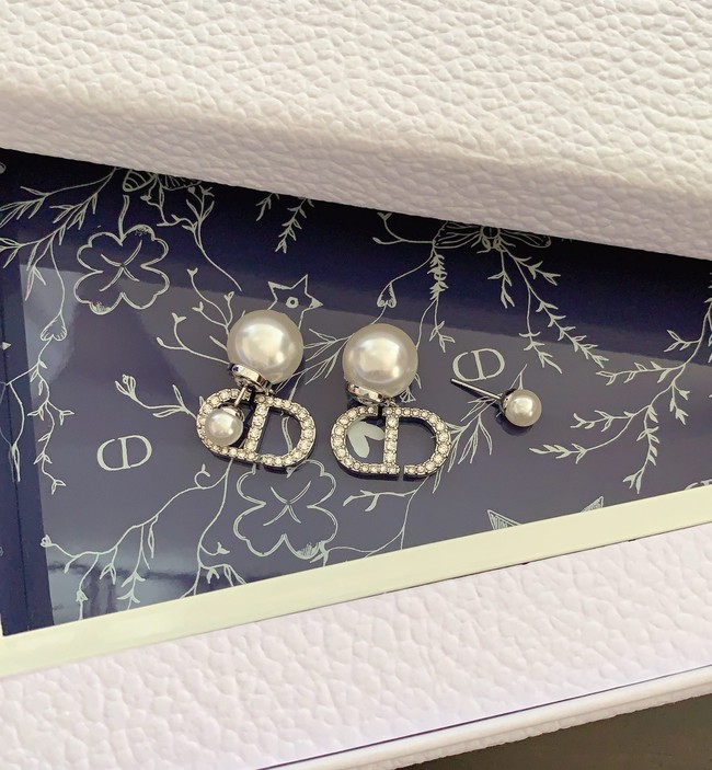 Dior Earrings CE15069