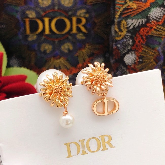 Dior Earrings CE15174