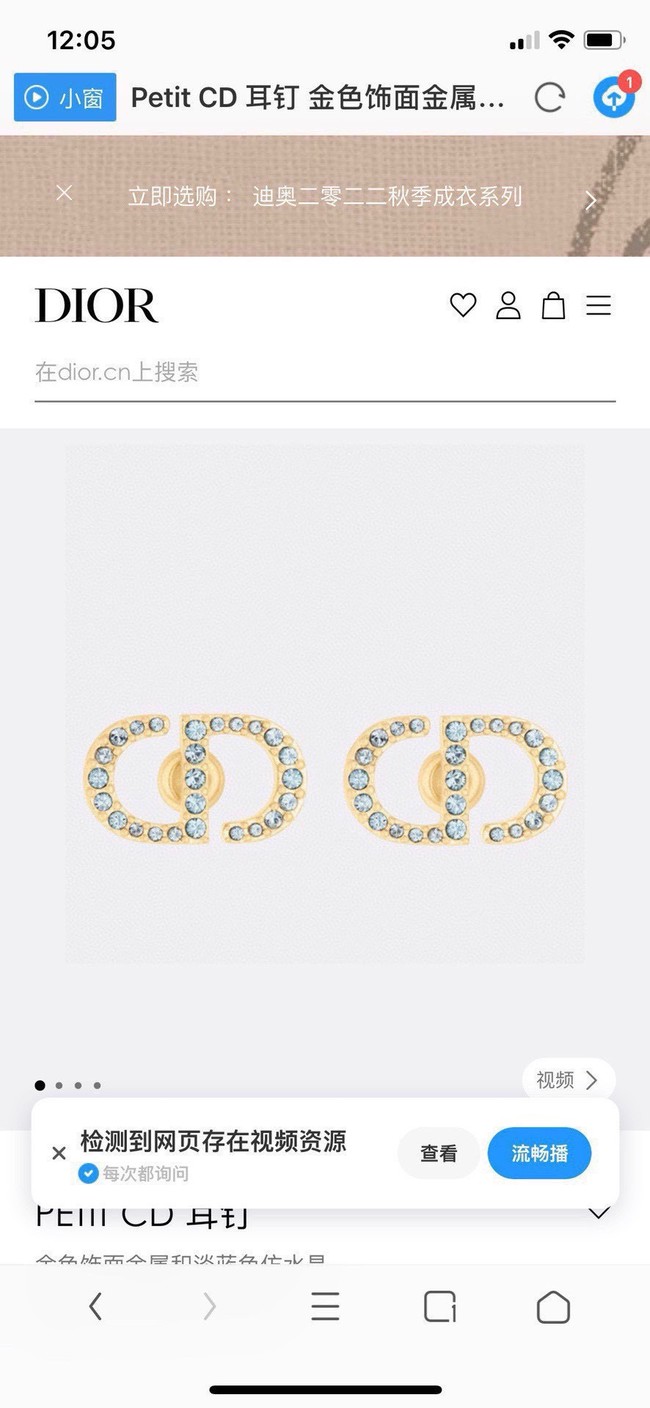 Dior Earrings CE15192