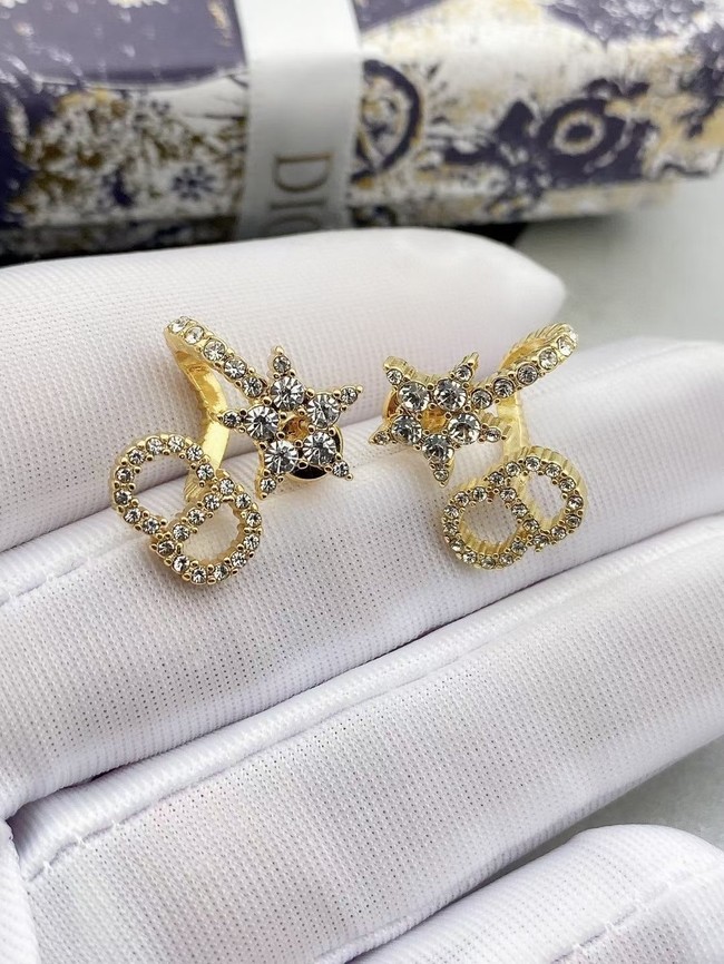 Dior Earrings CE15225