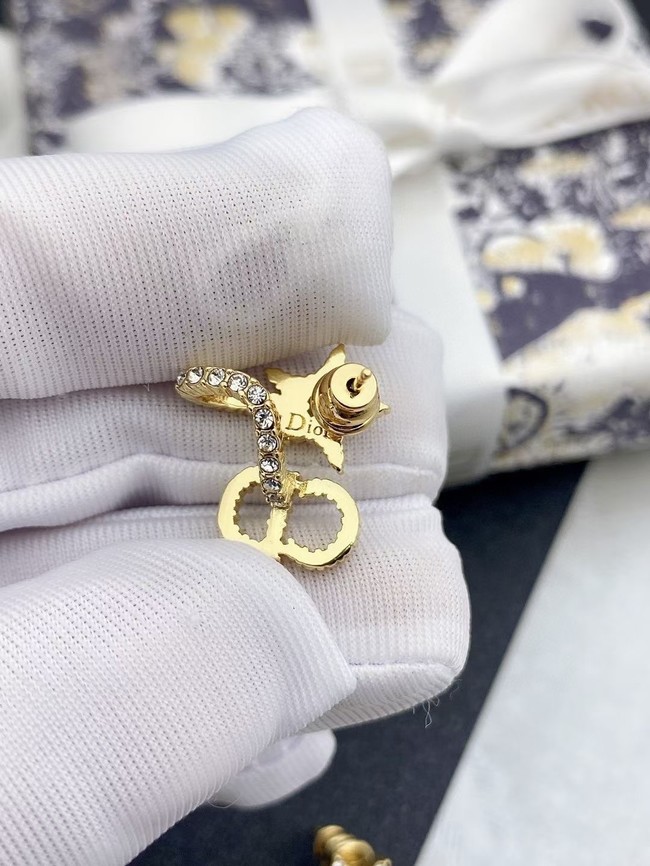 Dior Earrings CE15225