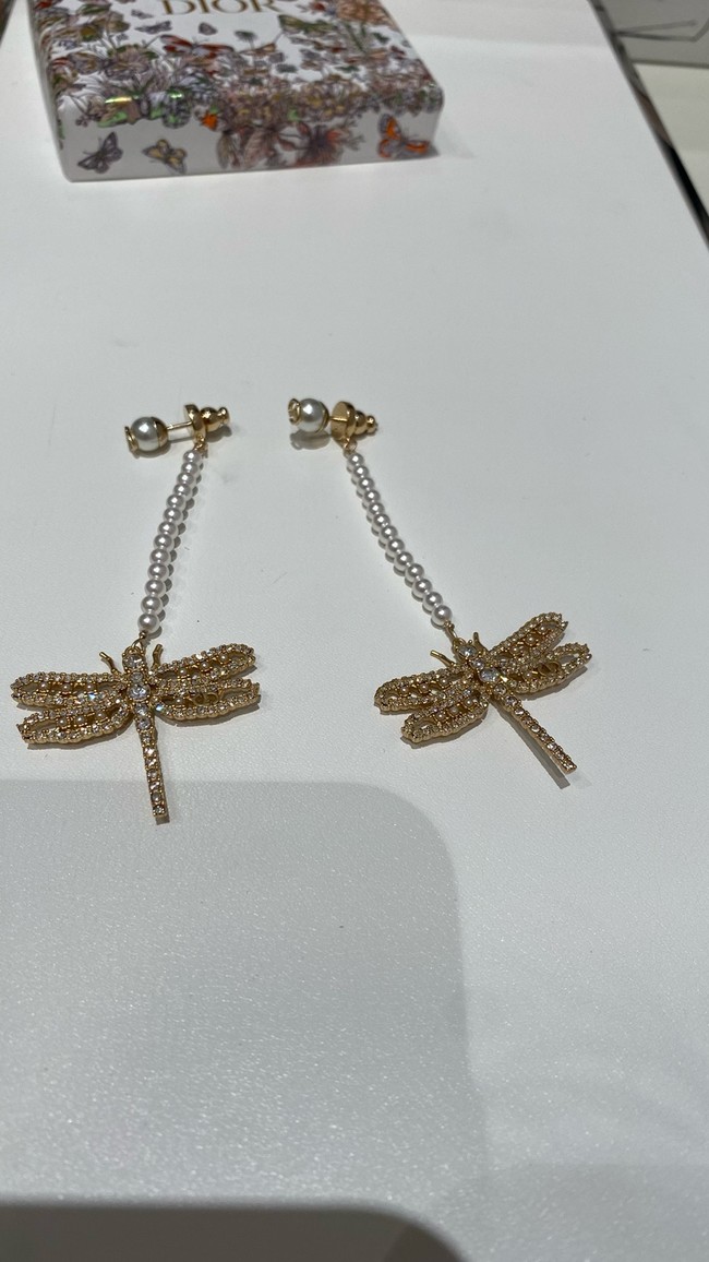 Dior Earrings CE15232