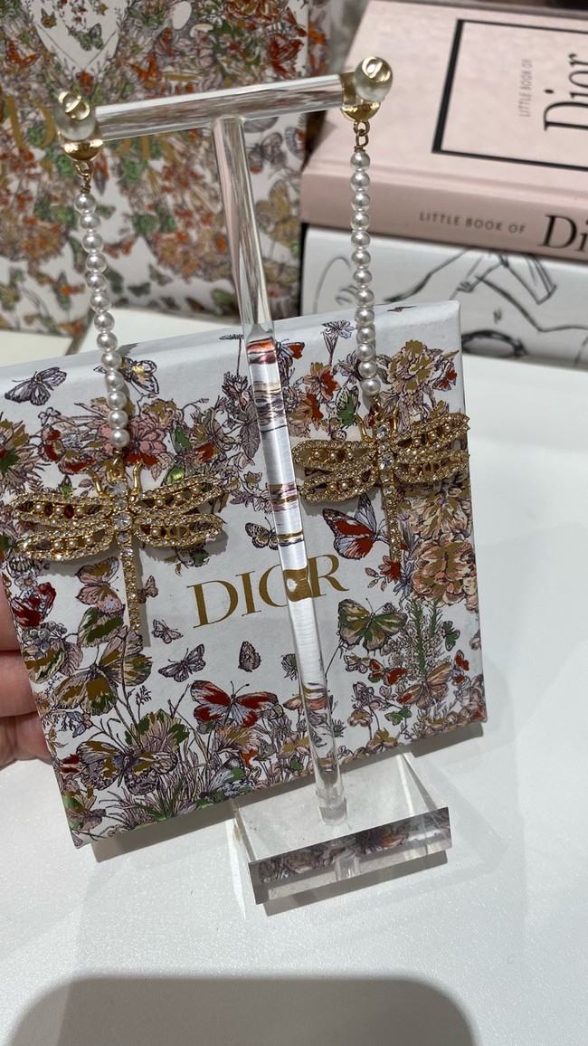 Dior Earrings CE15232