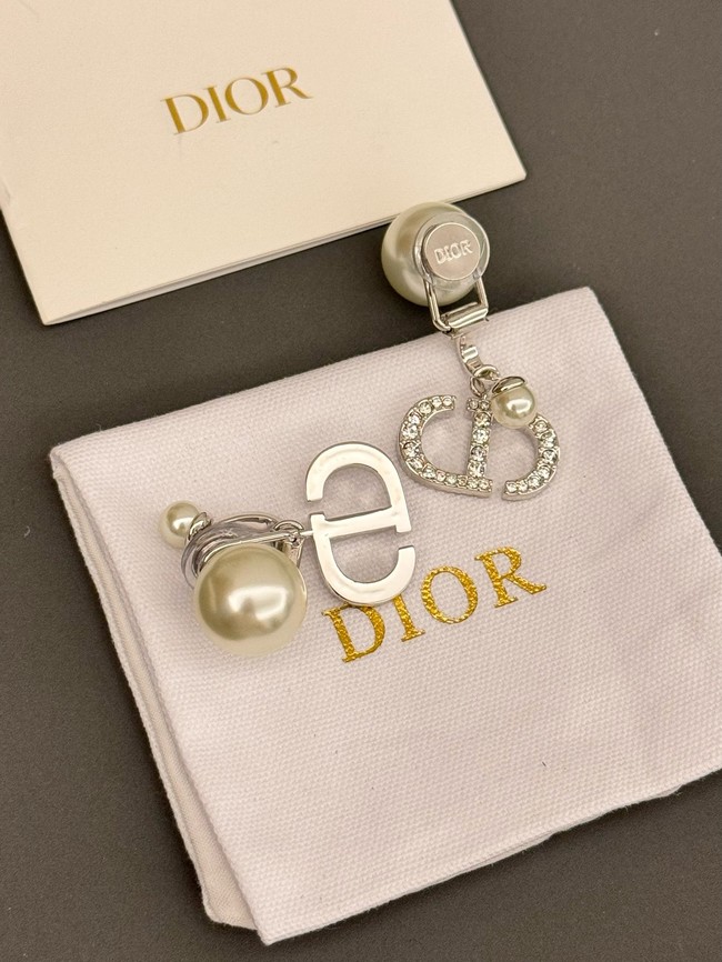 Dior Earrings CE15240