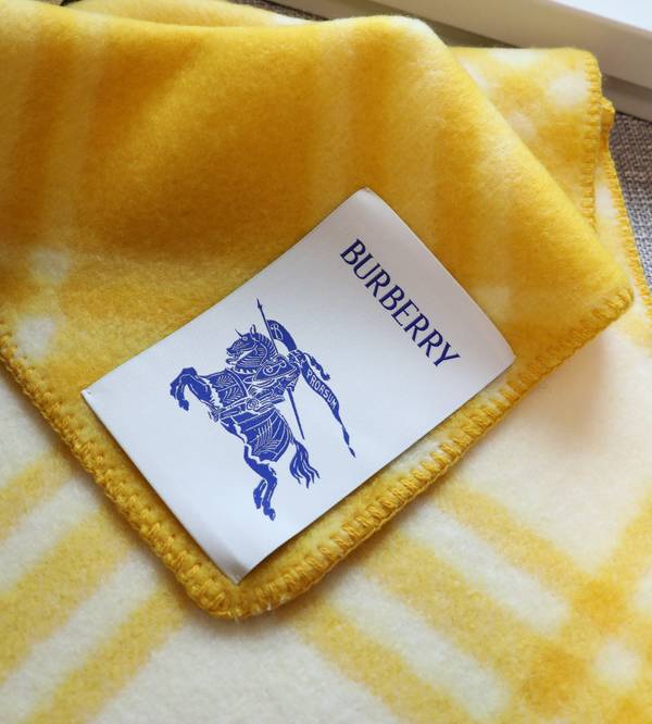 Burberry Scarf BBC00173