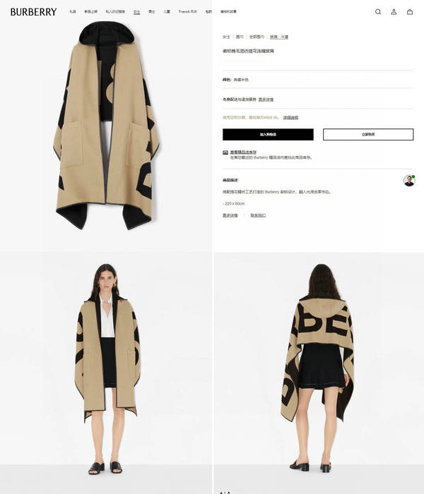 Burberry Scarf BBC00200