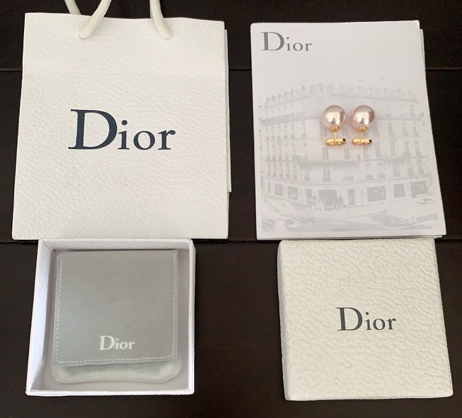 Dior Earrings CE15274