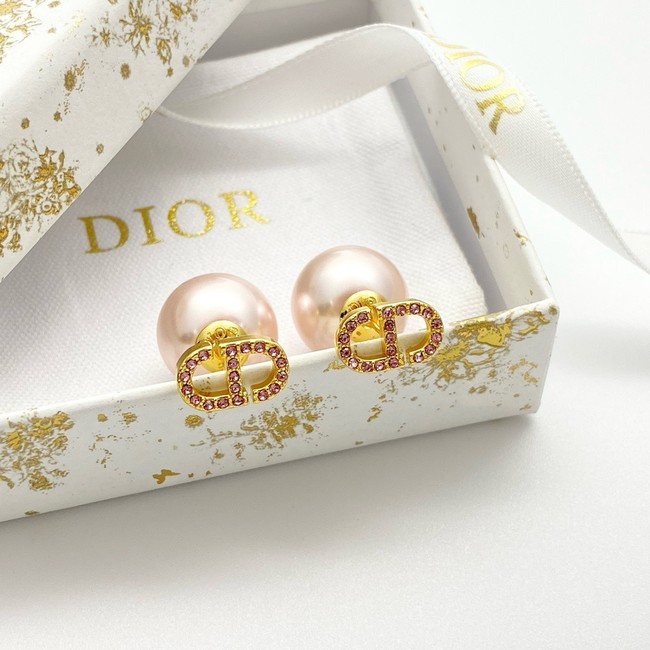 Dior Earrings CE15314