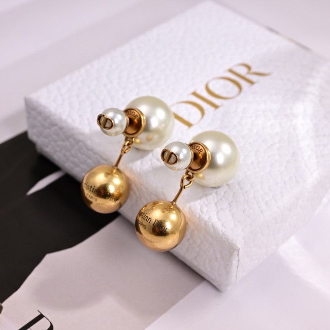 Dior Earrings CE15321