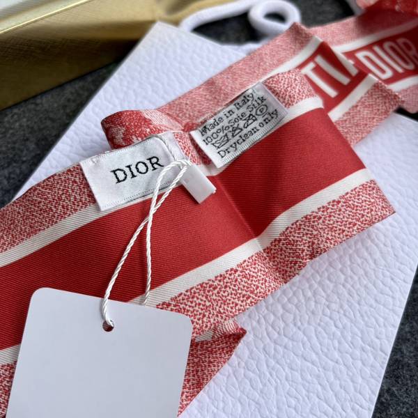 Dior Scarf DIC00371